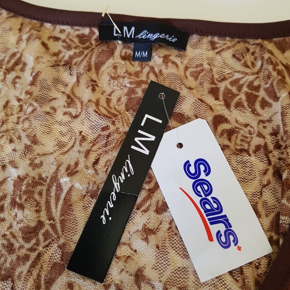 LM Lingerie Sears Sheer Nightgown - Picture 15 of 15